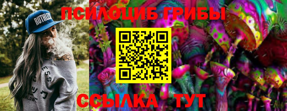 Псилоцибиновые грибы Psilocybe Тамбов