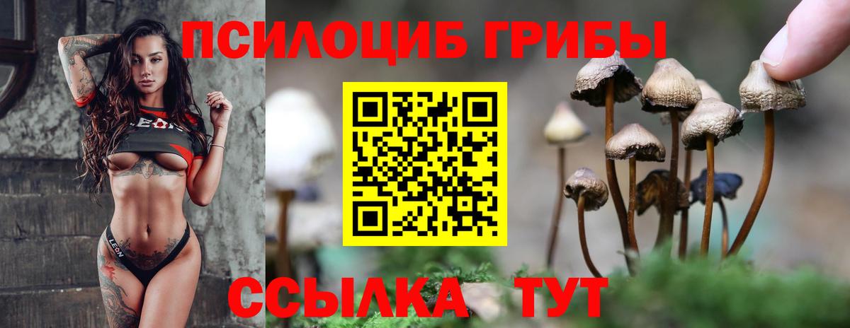 Галлюциногенные грибы Cubensis  Вход с VPN  где продают   Тамбов  Псилоцибиновые грибы ЛСД 